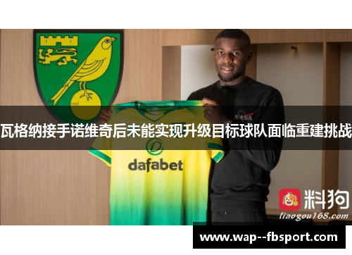 瓦格纳接手诺维奇后未能实现升级目标球队面临重建挑战